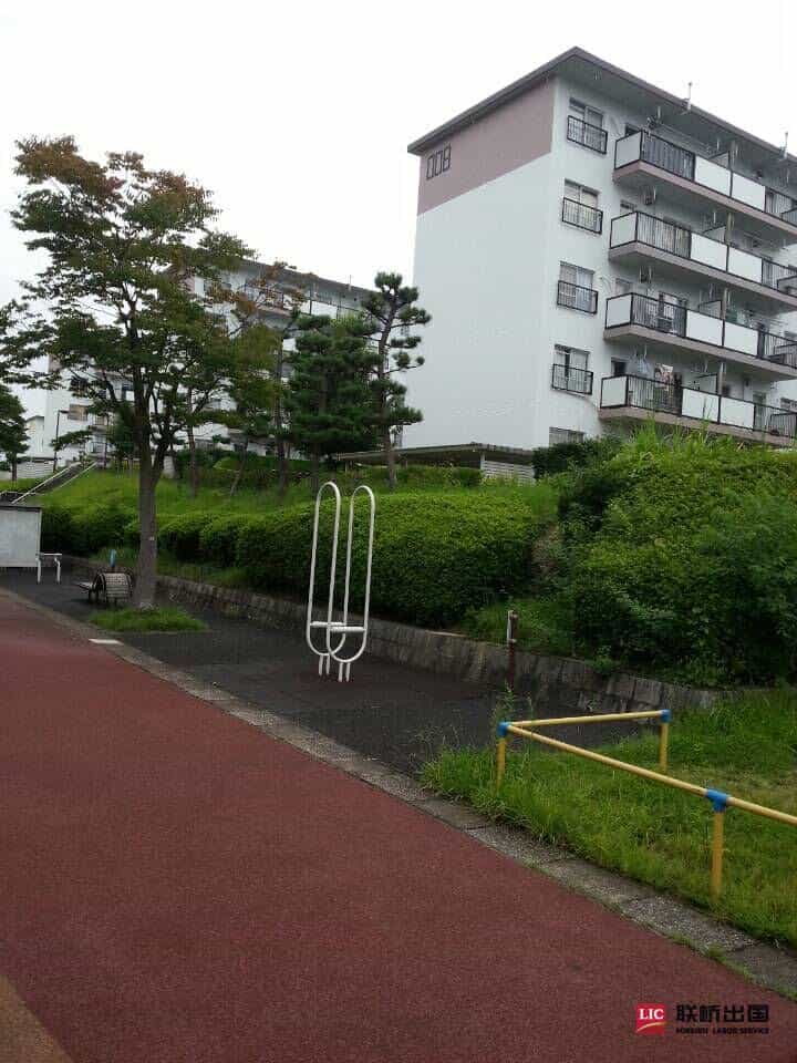 2-1Z919100256294.jpg 三明治漢堡加工女工(圖6)