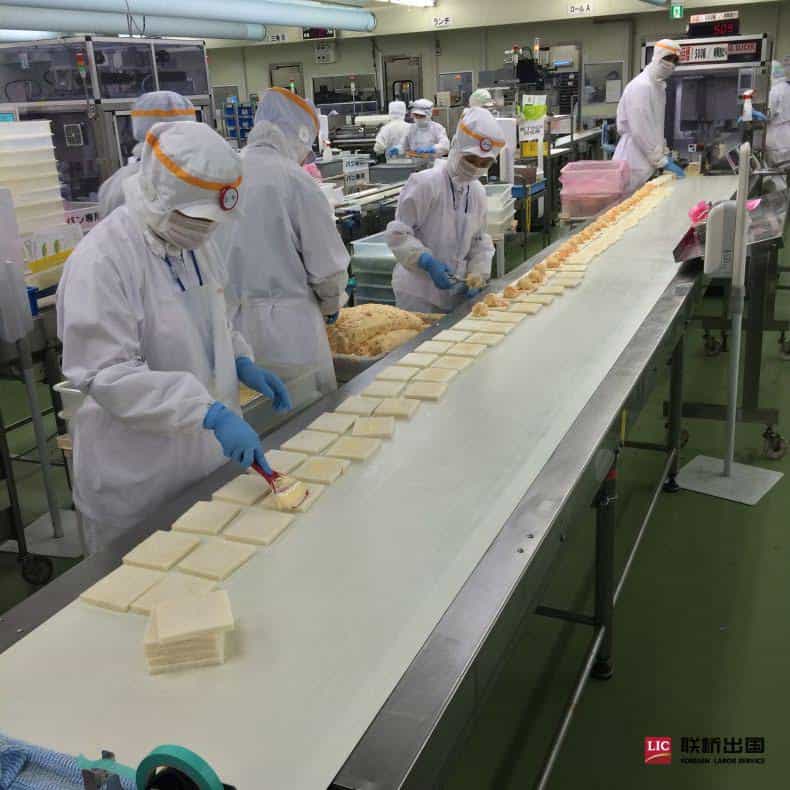 2-1Z919100256463.jpg 三明治漢堡加工女工(圖4)